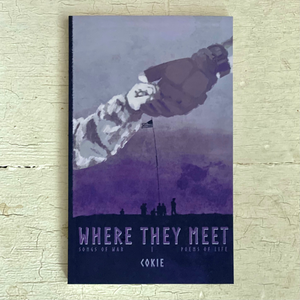 BOOK: Where They Meet